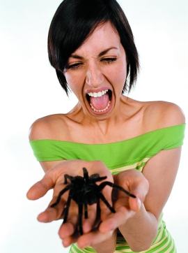 Image: JIBN-ppt012, Screaming woman with tarantula, License: Royalty free, Model Release: No or not aplicable, Property Release: Yes, Credit line: profimedia.sk, Bananastock